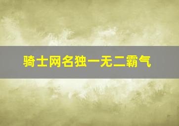 骑士网名独一无二霸气