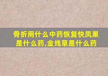 骨折用什么中药恢复快凤巢是什么药,金线草是什么药