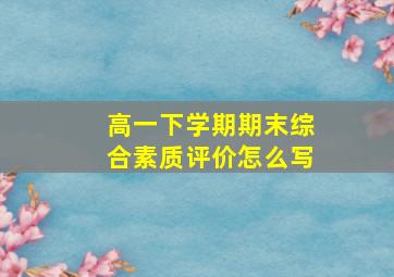 高一下学期期末综合素质评价怎么写