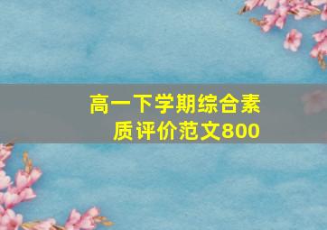 高一下学期综合素质评价范文800