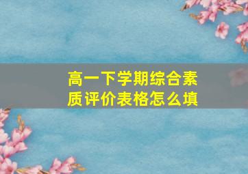 高一下学期综合素质评价表格怎么填