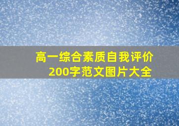 高一综合素质自我评价200字范文图片大全