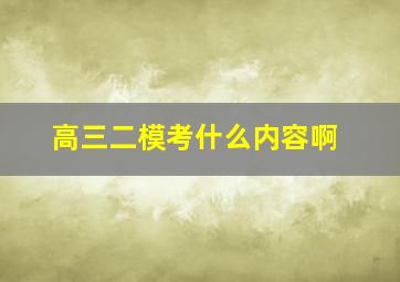 高三二模考什么内容啊