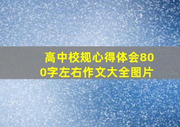 高中校规心得体会800字左右作文大全图片