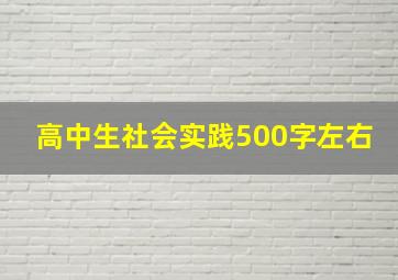 高中生社会实践500字左右