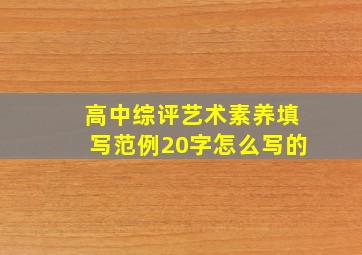 高中综评艺术素养填写范例20字怎么写的