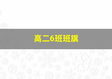 高二6班班旗