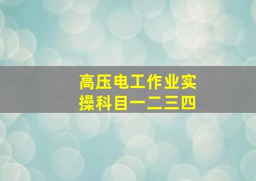 高压电工作业实操科目一二三四