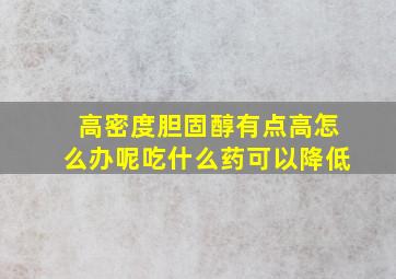 高密度胆固醇有点高怎么办呢吃什么药可以降低