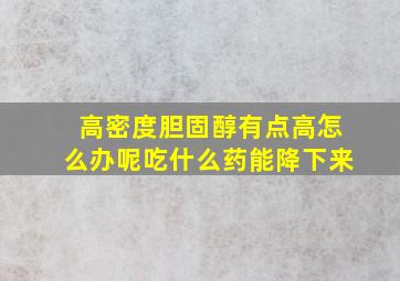 高密度胆固醇有点高怎么办呢吃什么药能降下来