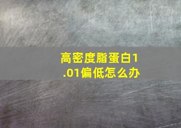 高密度脂蛋白1.01偏低怎么办