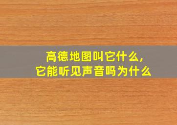 高德地图叫它什么,它能听见声音吗为什么