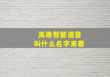 高德智能语音叫什么名字来着