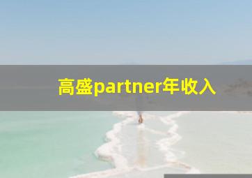 高盛partner年收入