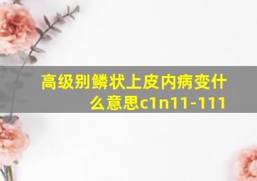 高级别鳞状上皮内病变什么意思c1n11-111