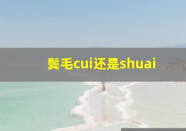 鬓毛cui还是shuai