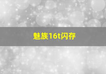 魅族16t闪存