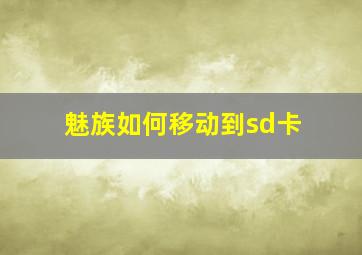 魅族如何移动到sd卡