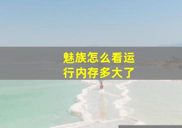 魅族怎么看运行内存多大了