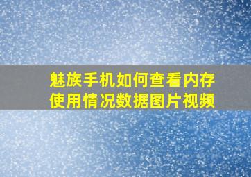 魅族手机如何查看内存使用情况数据图片视频