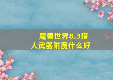 魔兽世界8.3猎人武器附魔什么好