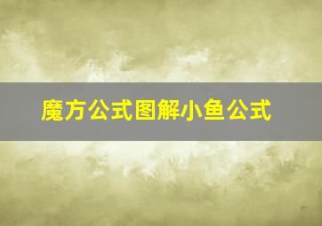 魔方公式图解小鱼公式