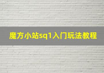 魔方小站sq1入门玩法教程