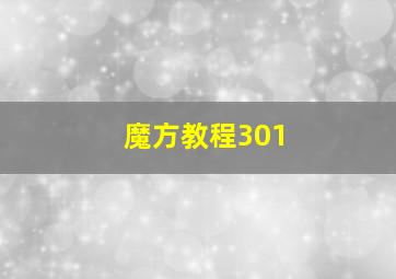 魔方教程301