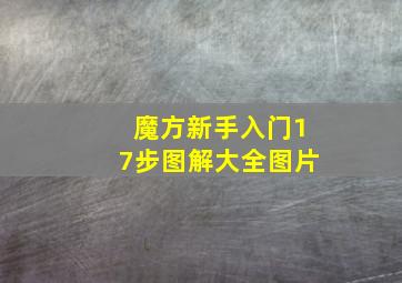 魔方新手入门17步图解大全图片