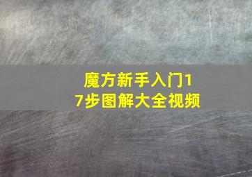 魔方新手入门17步图解大全视频