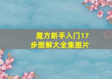 魔方新手入门17步图解大全集图片