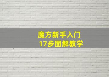 魔方新手入门17步图解教学