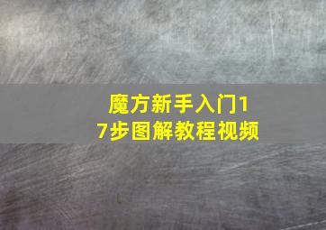 魔方新手入门17步图解教程视频