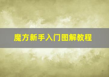 魔方新手入门图解教程