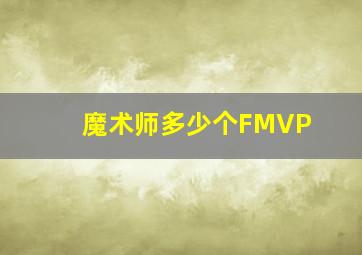 魔术师多少个FMVP