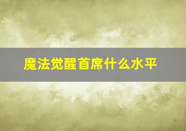 魔法觉醒首席什么水平