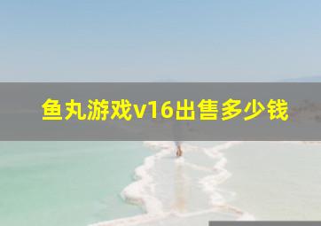 鱼丸游戏v16出售多少钱