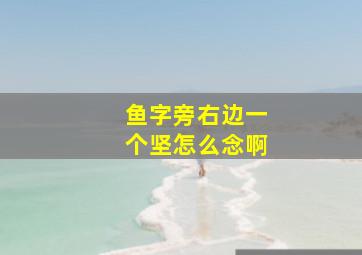 鱼字旁右边一个坚怎么念啊