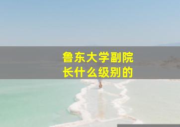 鲁东大学副院长什么级别的