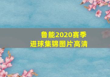 鲁能2020赛季进球集锦图片高清