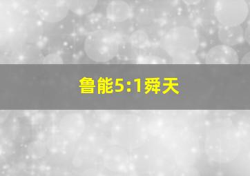 鲁能5:1舜天