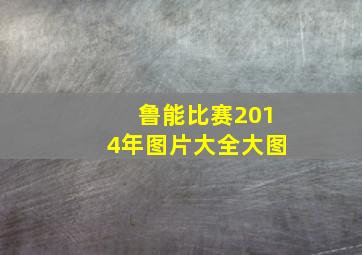 鲁能比赛2014年图片大全大图