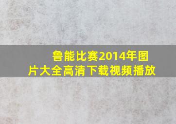 鲁能比赛2014年图片大全高清下载视频播放