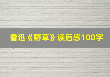 鲁迅《野草》读后感100字