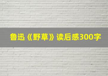 鲁迅《野草》读后感300字