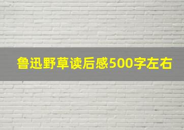 鲁迅野草读后感500字左右