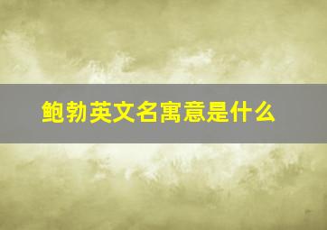 鲍勃英文名寓意是什么