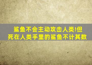 鲨鱼不会主动攻击人类!但死在人类手里的鲨鱼不计其数