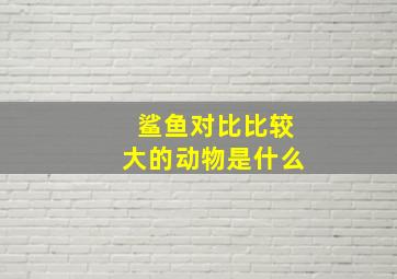 鲨鱼对比比较大的动物是什么