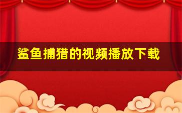 鲨鱼捕猎的视频播放下载